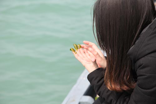  Seaweed on fingertips