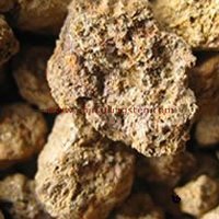rare earth
